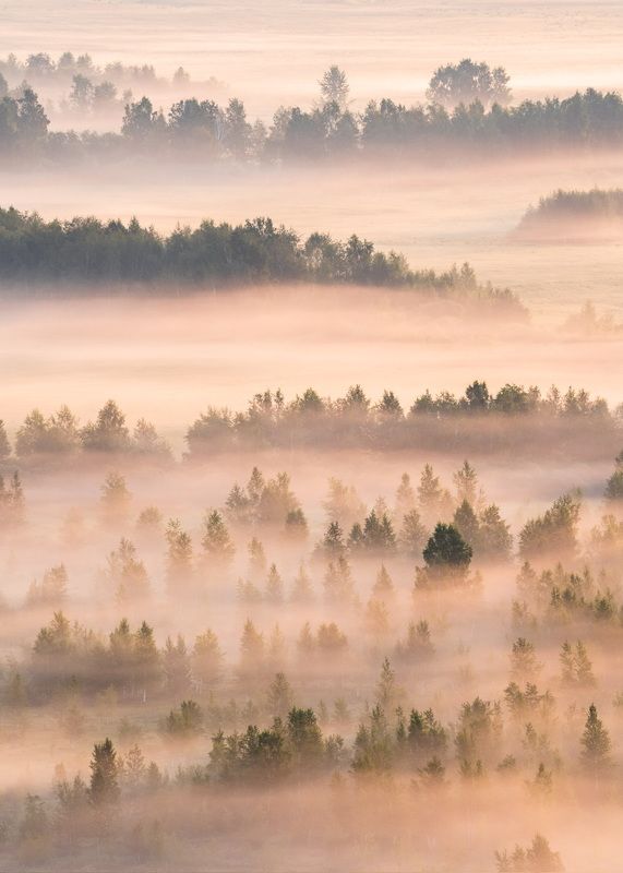 В первых лучах Хакасии…. In the first rays of Khakassia… фото превью