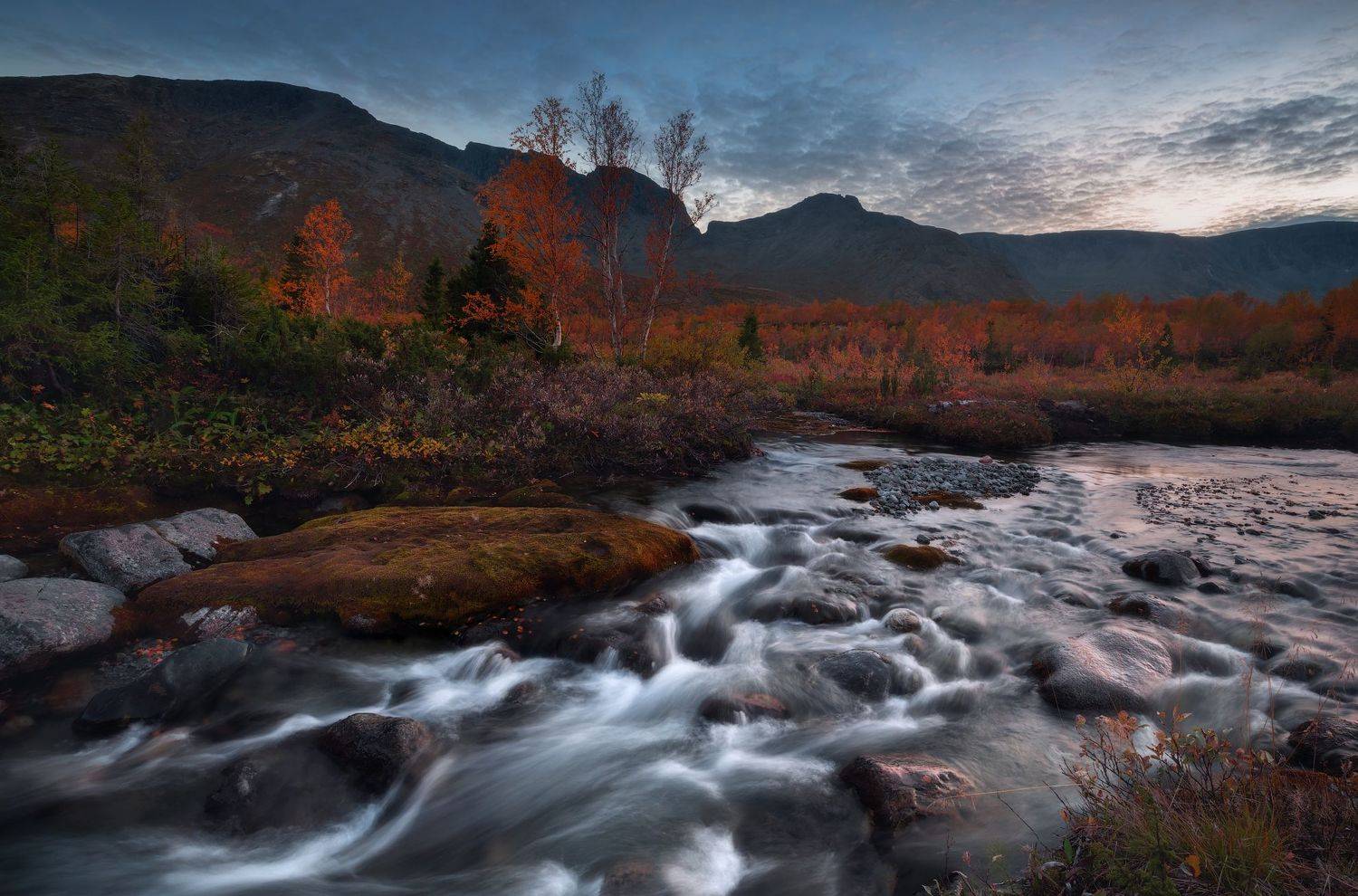 , Истомин Виталий