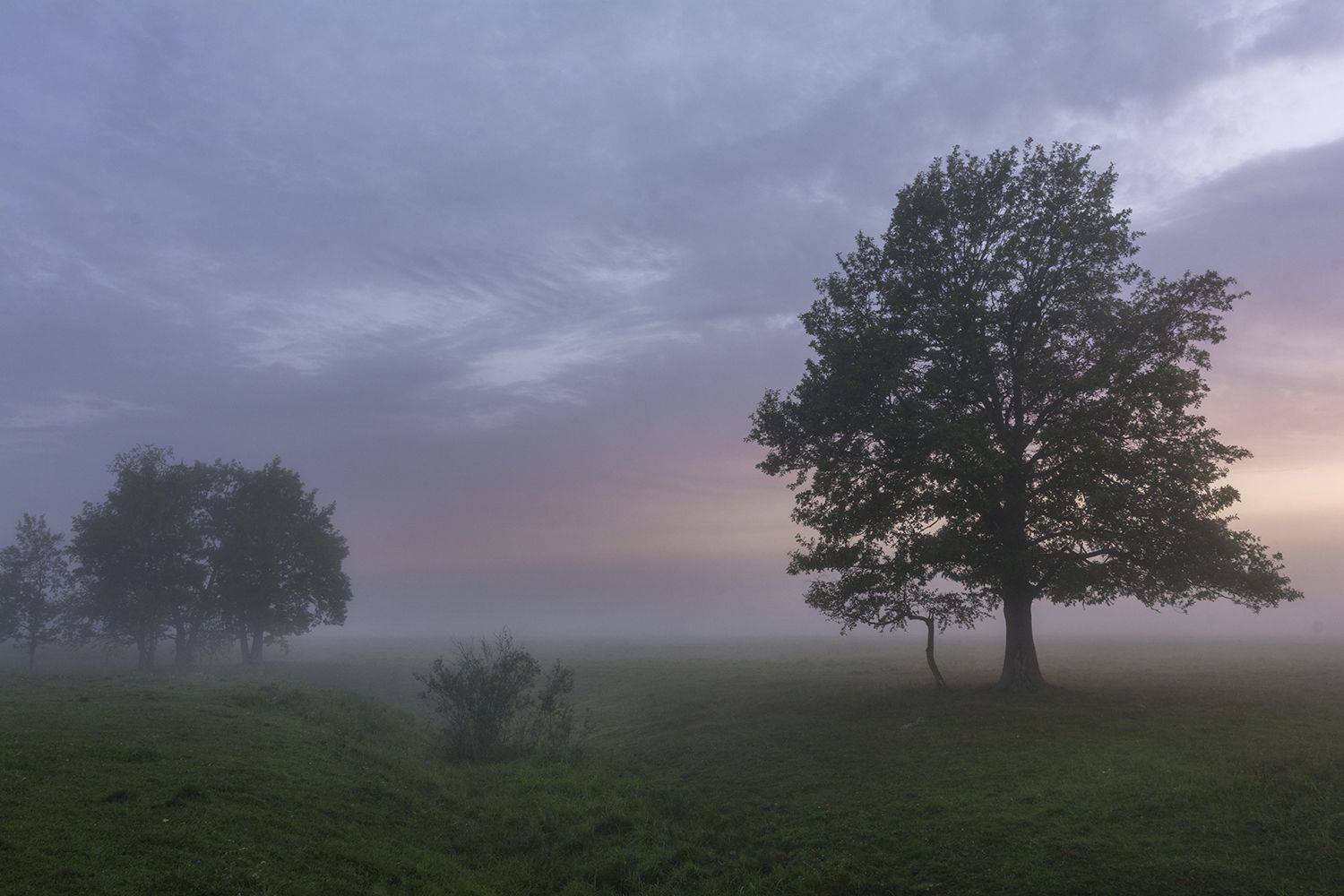 , Волоцков Александр