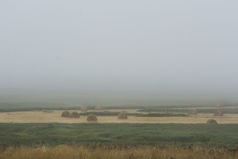 Поле фото превью