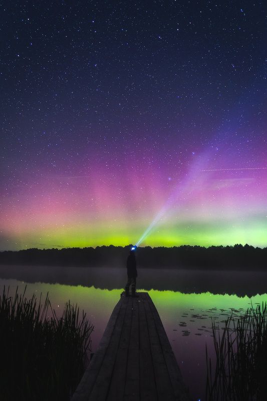 Волшебная ночь фото превью