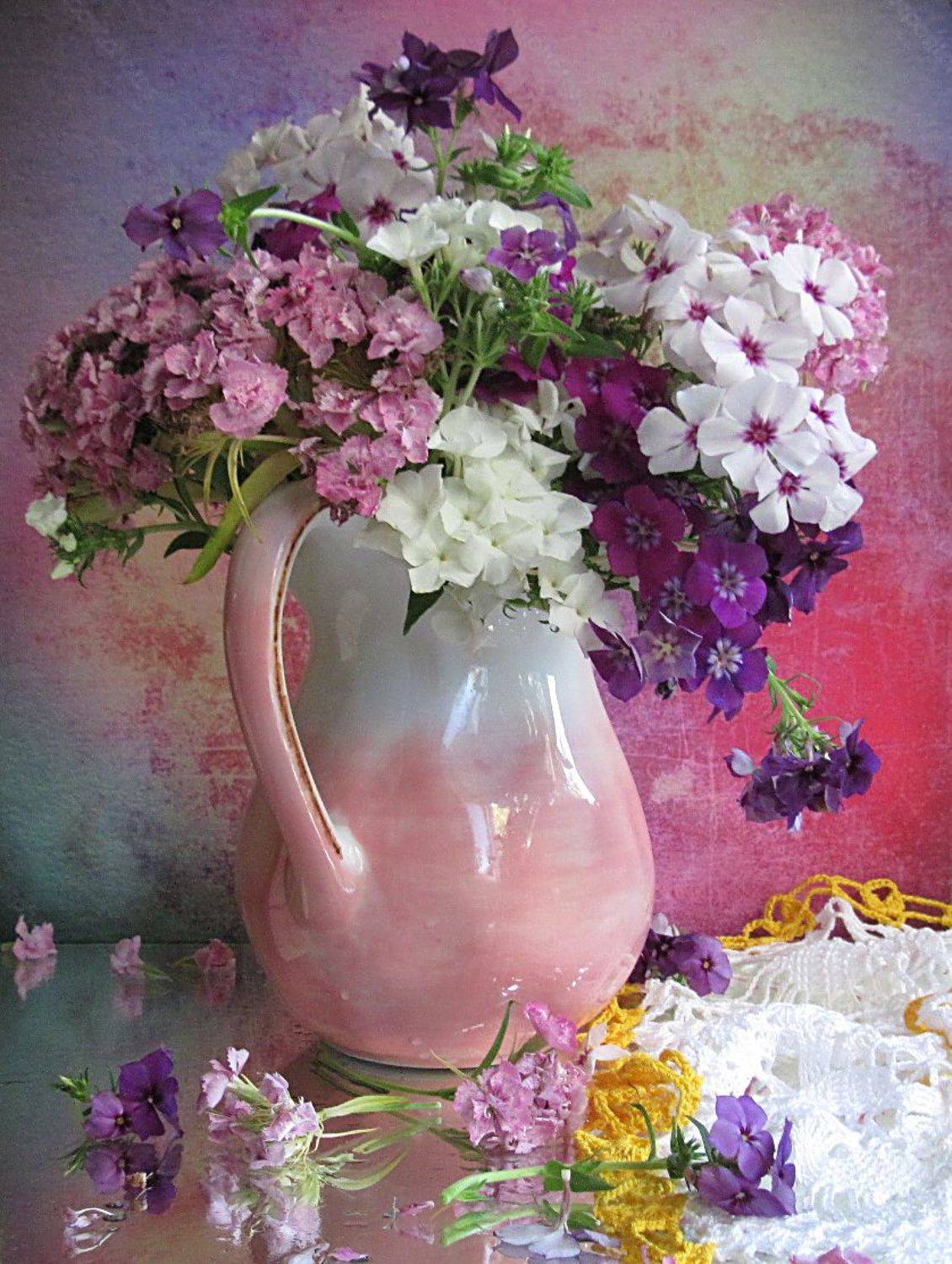 гвоздика, флоксы, радуга, Наталия Тихомирова