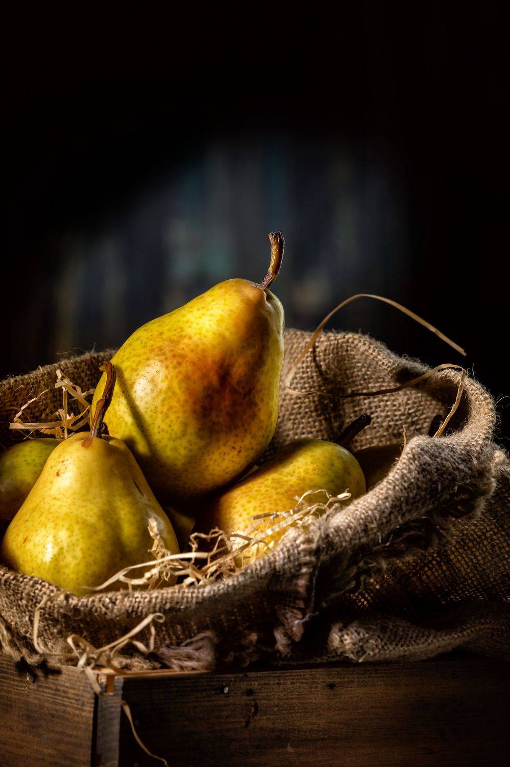 , Герц Дмитрий