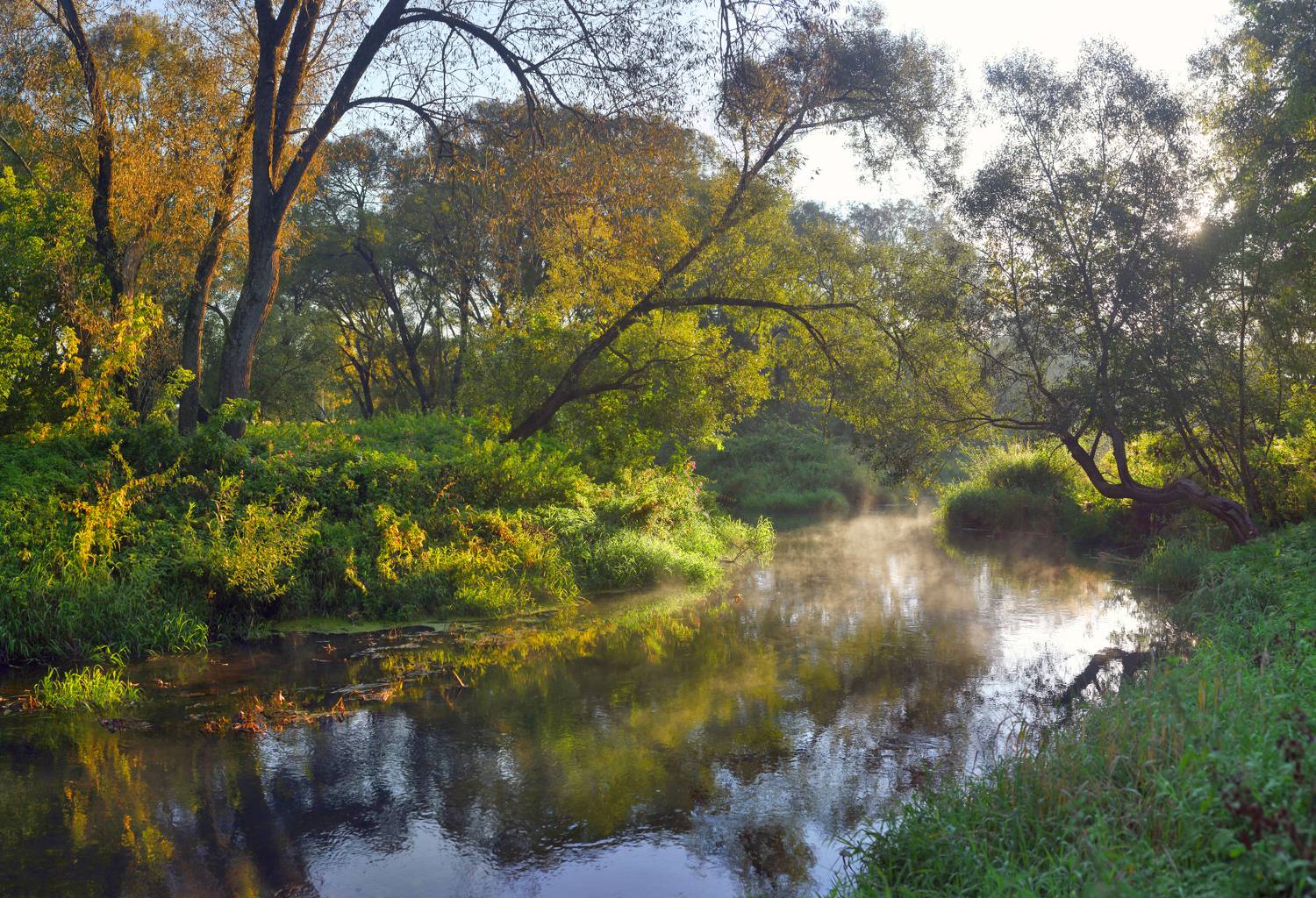 река, лето , рассвет, Александр Свистков