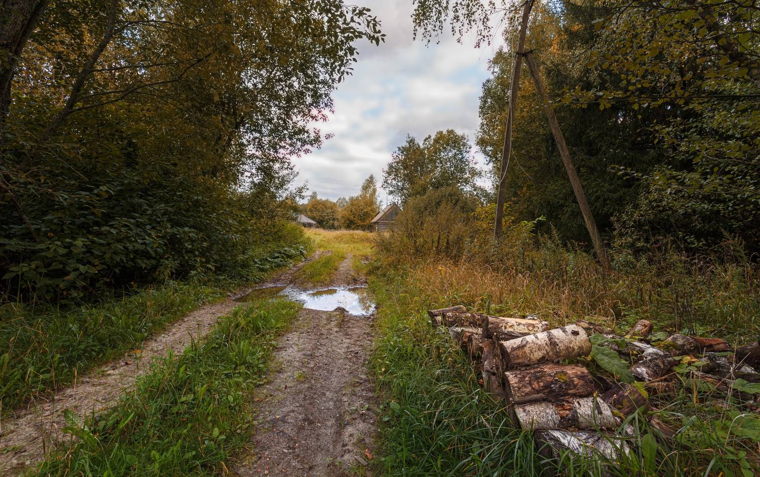 осень, дорога, смоленская, обл., Зеленько Дмитрий