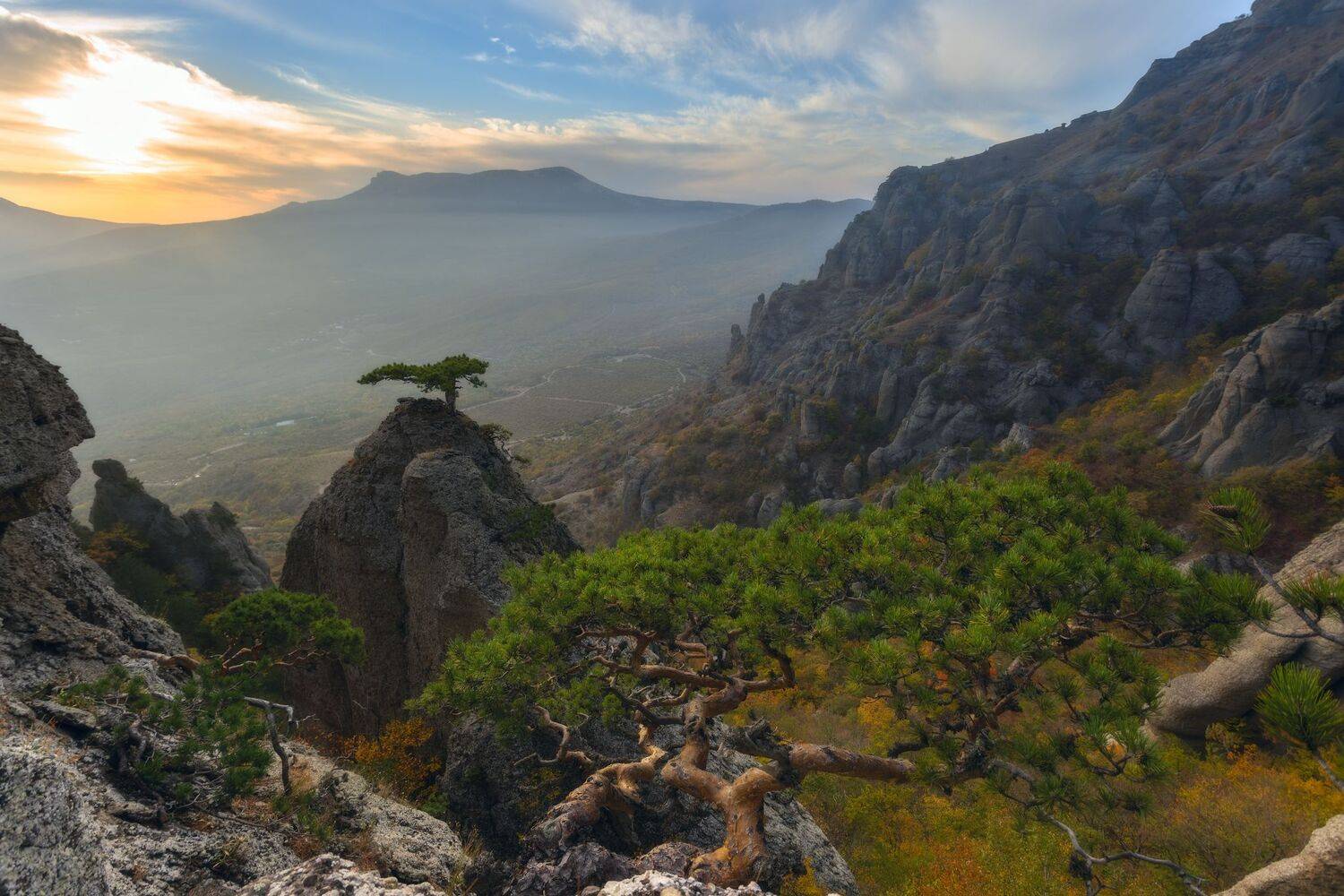 , Юлия Мальцева