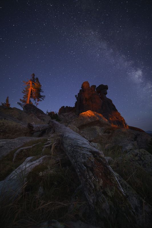 Сонный страж фото превью