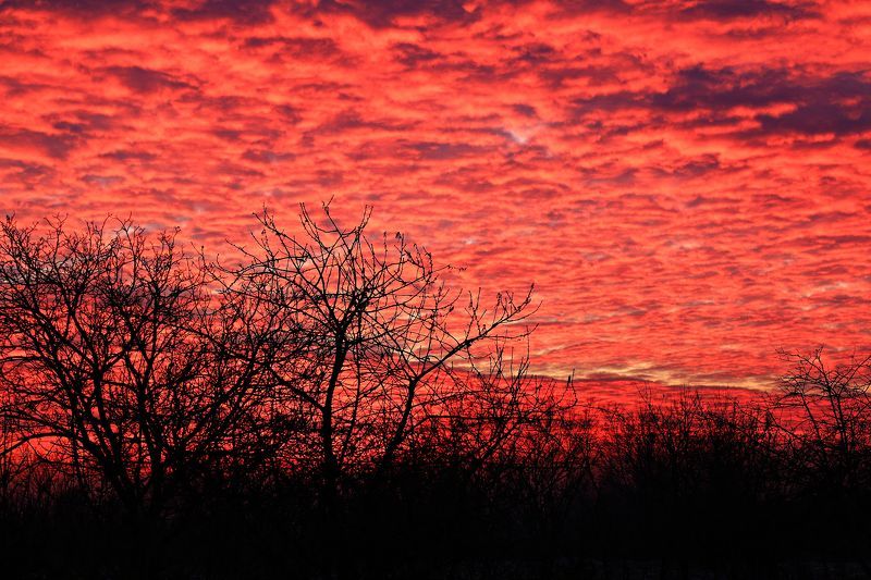 Burning sky фото превью