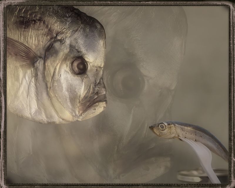 Что наша жизнь... фото превью