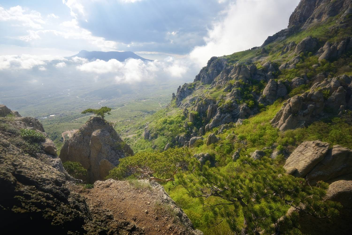 , Алексей Никонов