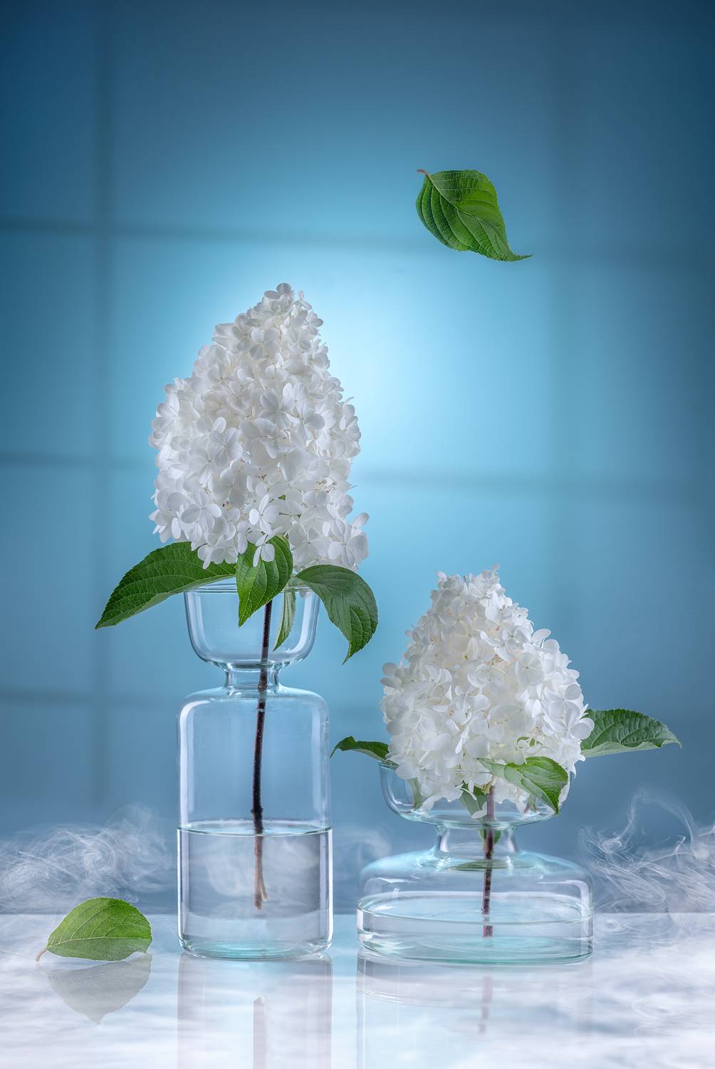 цветы, цветок, флора, натюрморт, букет, ваза, ЯR Ольга