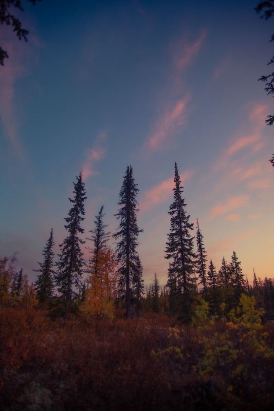 Путоранский закат фото превью