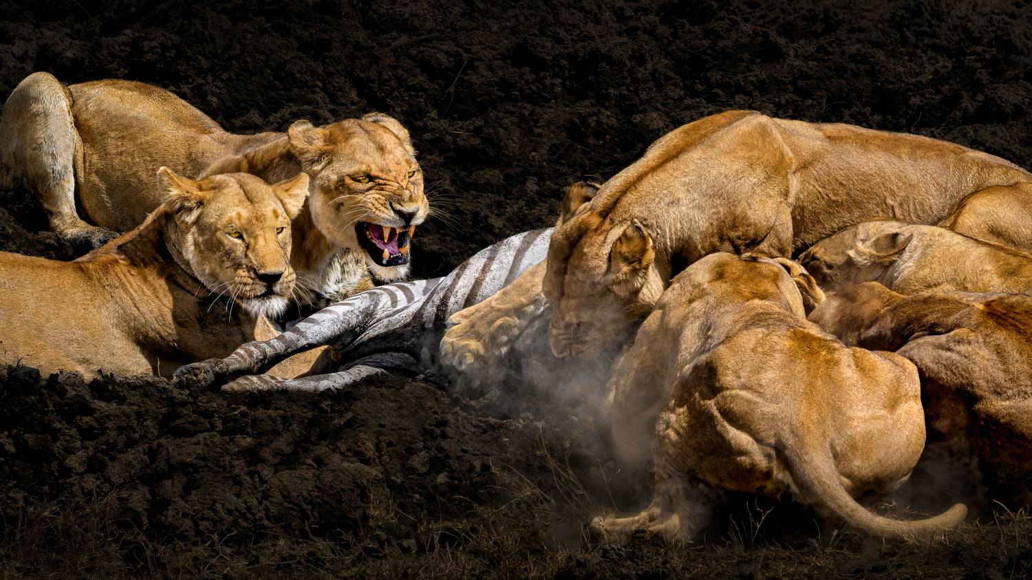 , Николай Мозгунов