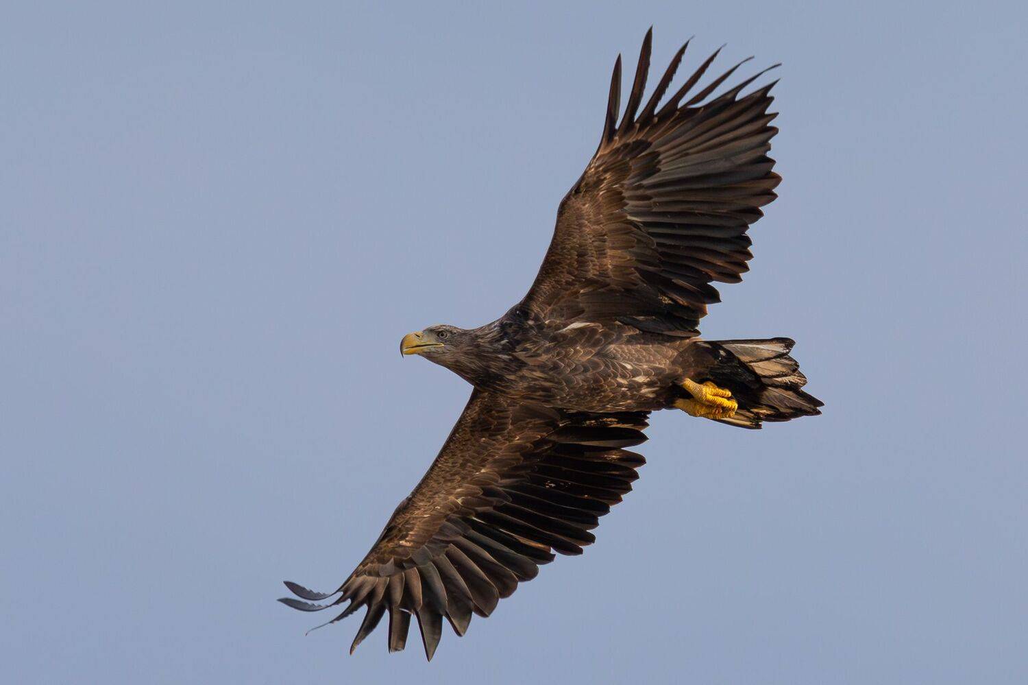 , Гильманов Артур