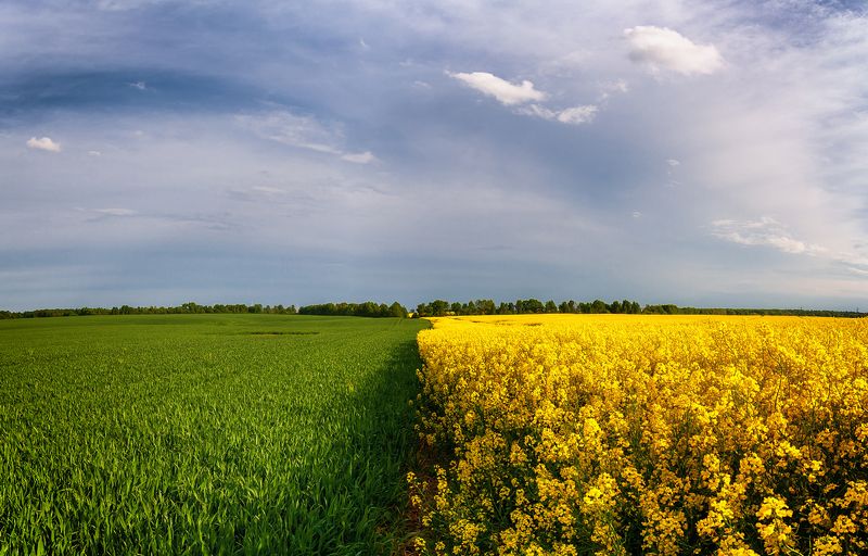 Контрасты фото превью