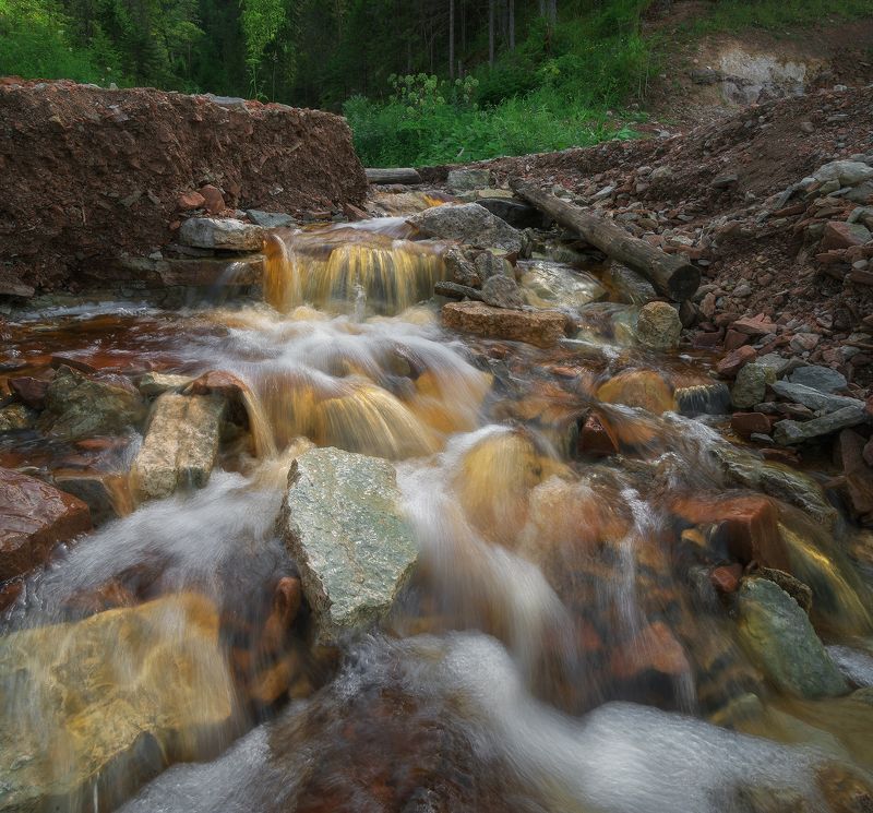 Ручьи вдоль берегов Сухоны фото превью