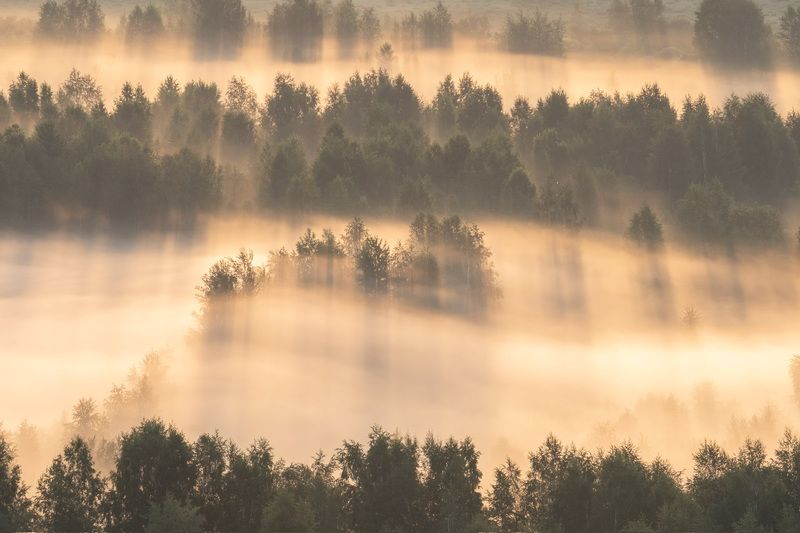 В первых лучах Хакасии…  In the first rays of Khakassia… фото превью