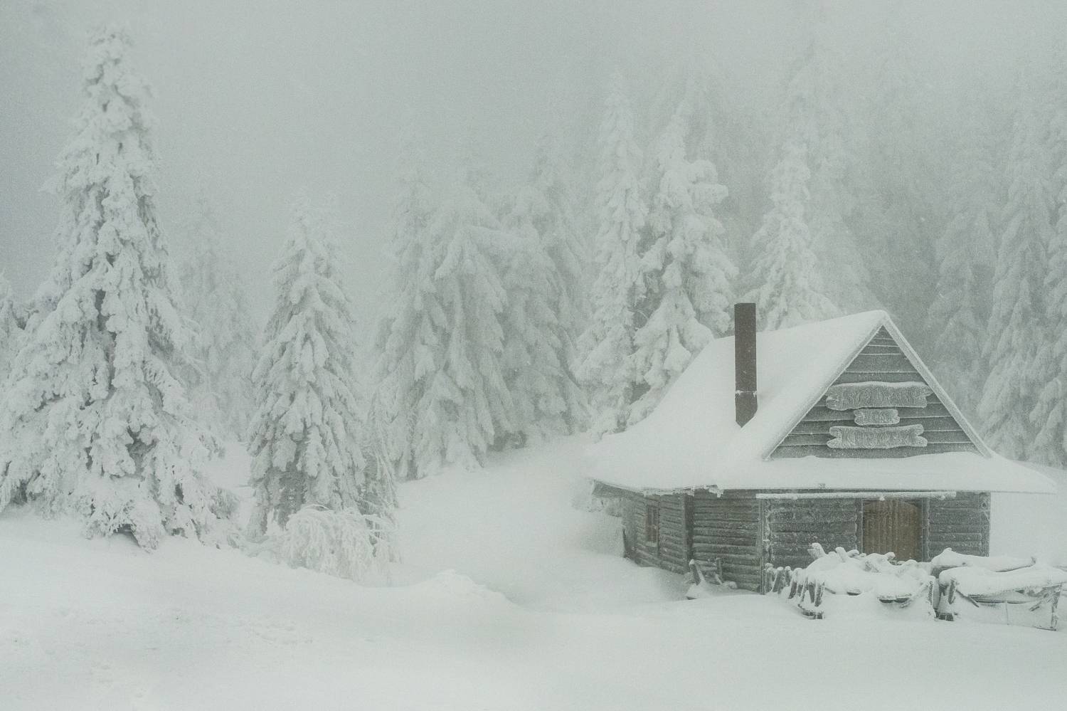 Snow, Winter, Cold, Nature, Forest, Tree, hut, moutain, landscapes, Poland, Canon, Cyfka, Cyfkafoto, fog, Damian Cyfka