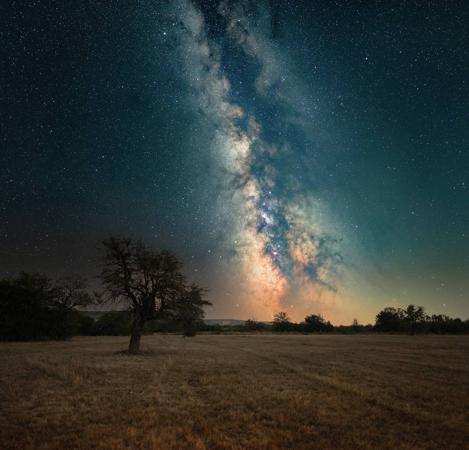 ceclii, Ganev Tsvetan