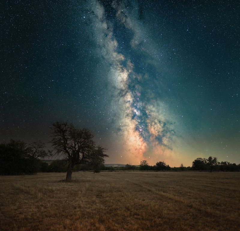 ceclii  фото превью