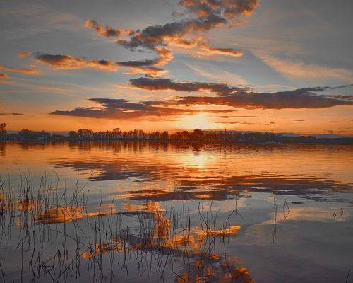 Зигзаги удачи