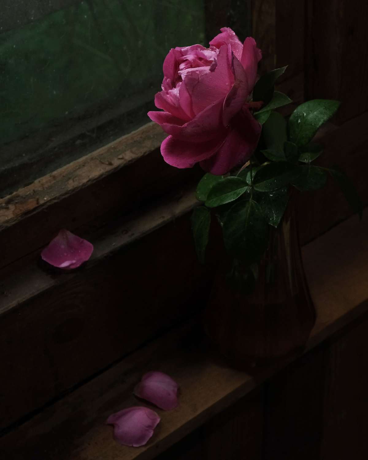 , Тим Мартынов