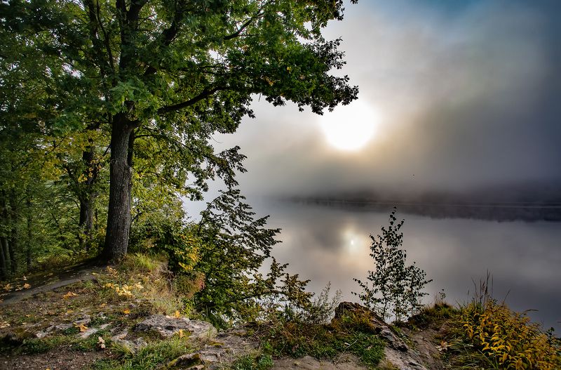 туман, река, волга, восход, берег, солнце, утро Туман и солнце фото превью