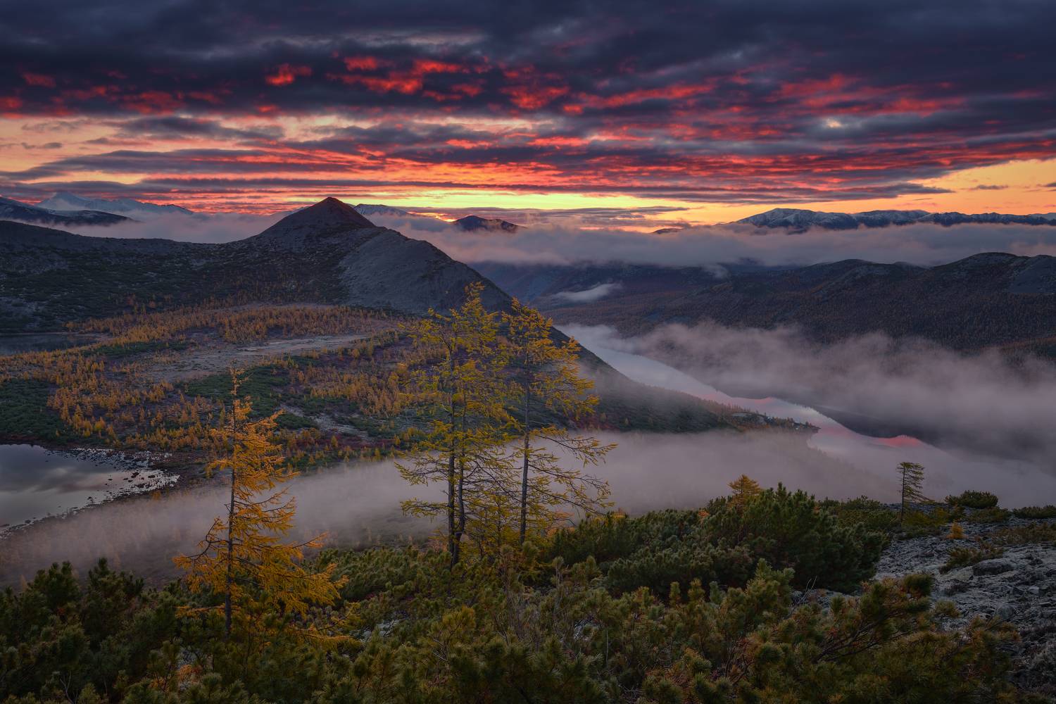 , Максим Евдокимов