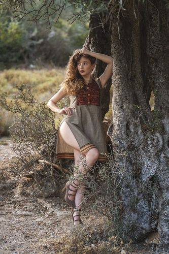 In the Olive Grove