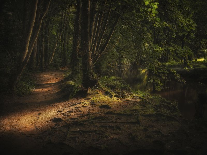 The path фото превью