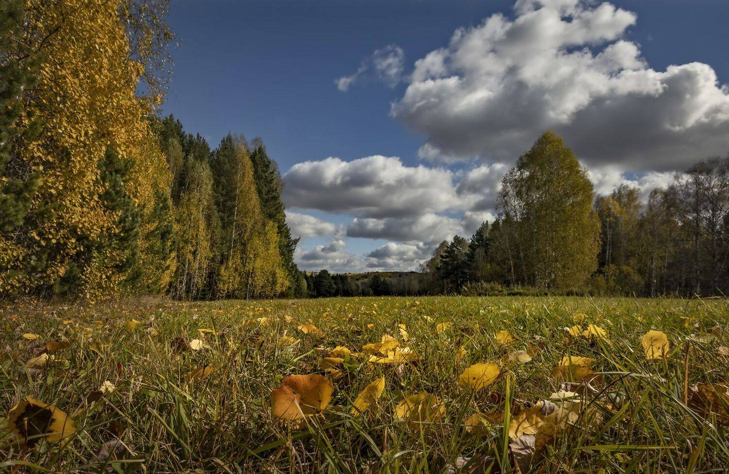 , Алексей Хахлов
