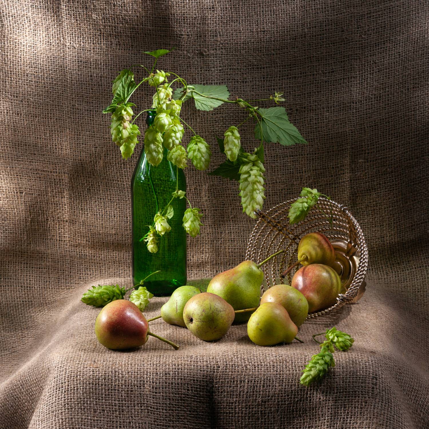 , Елена   Павлюк