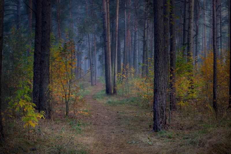 ******** фото превью