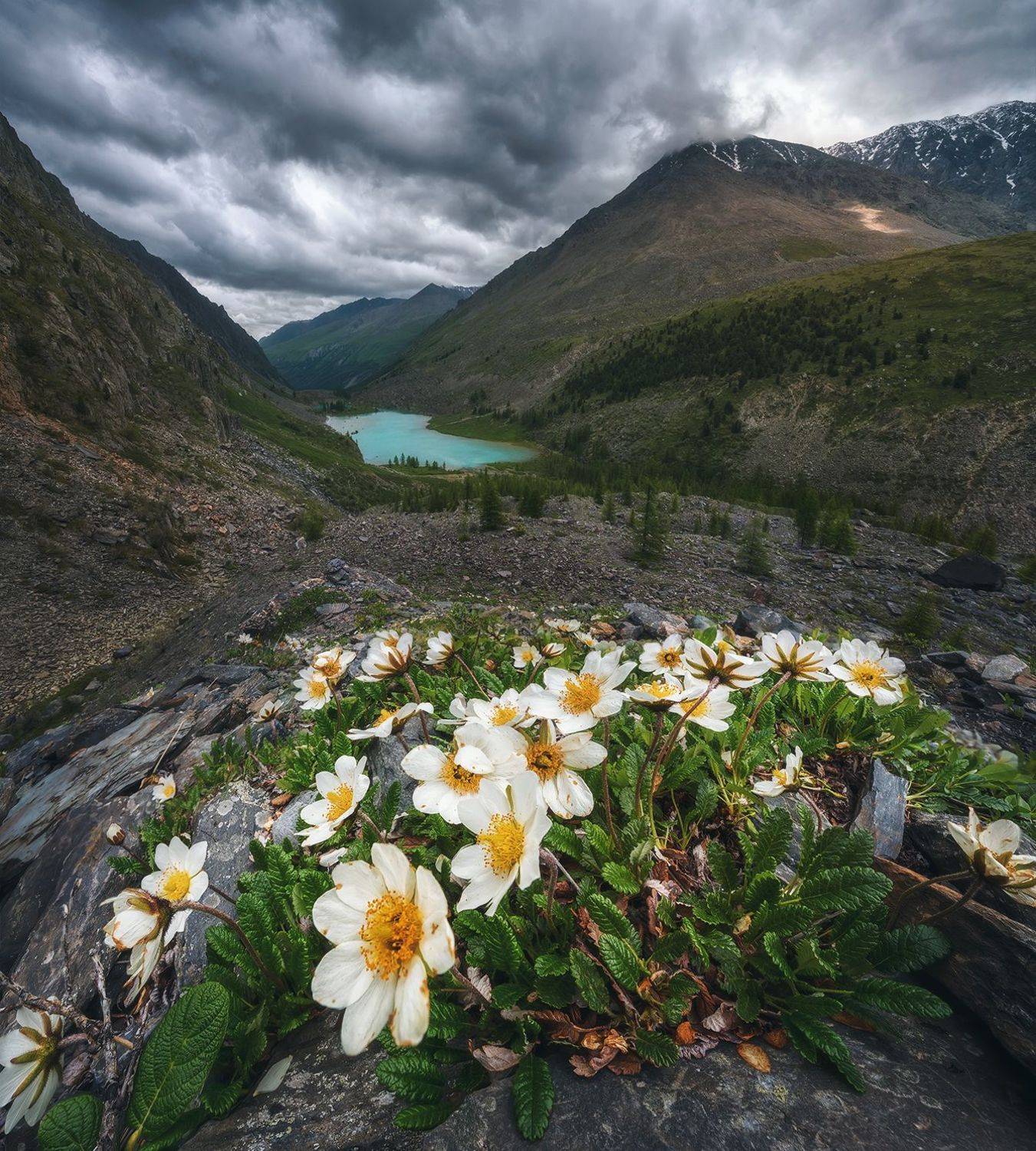 алтай, озеро, шавлинское, шавла, Василеня Роман