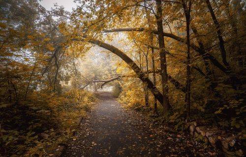 В осеннем парке