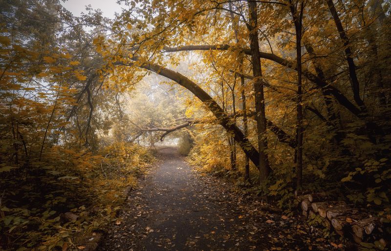 В осеннем парке фото превью