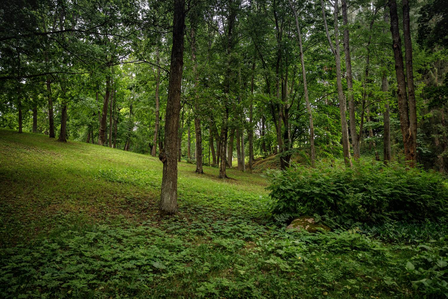 , Евгений Кужилев