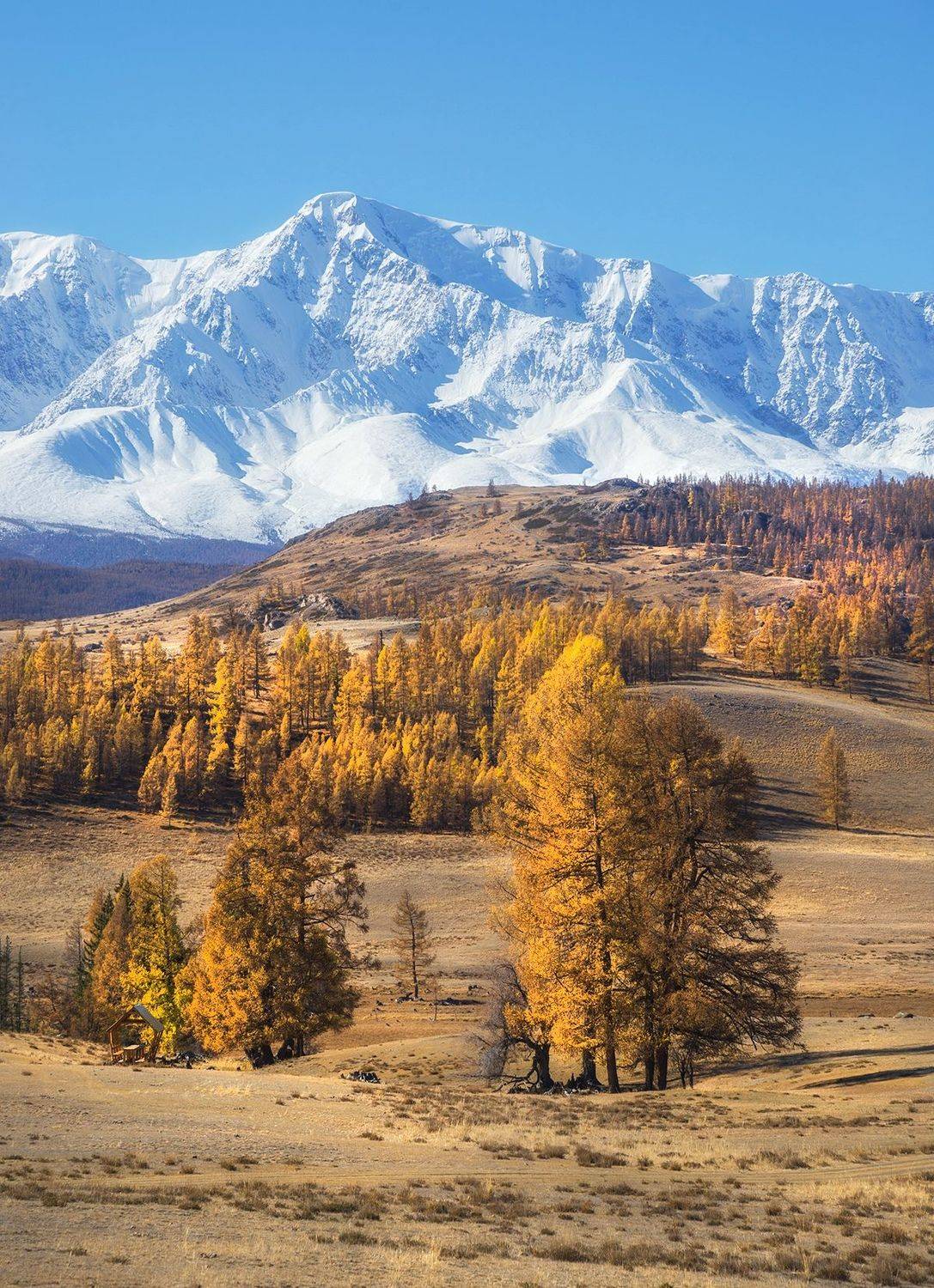 , Вадим Качанов