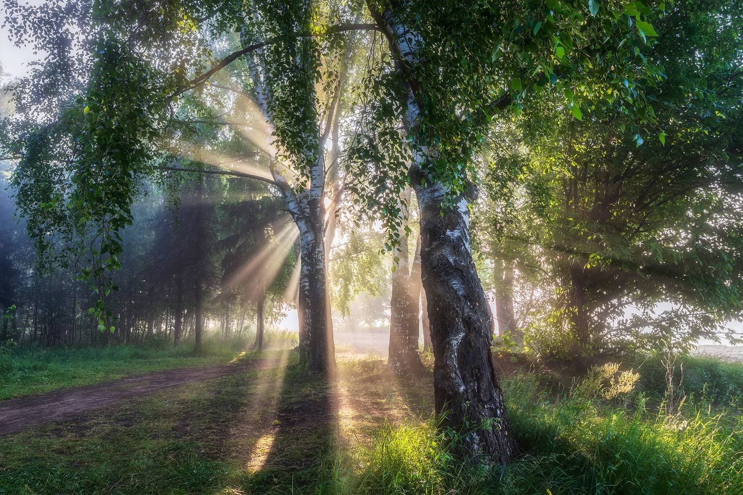 , М. Еремеев