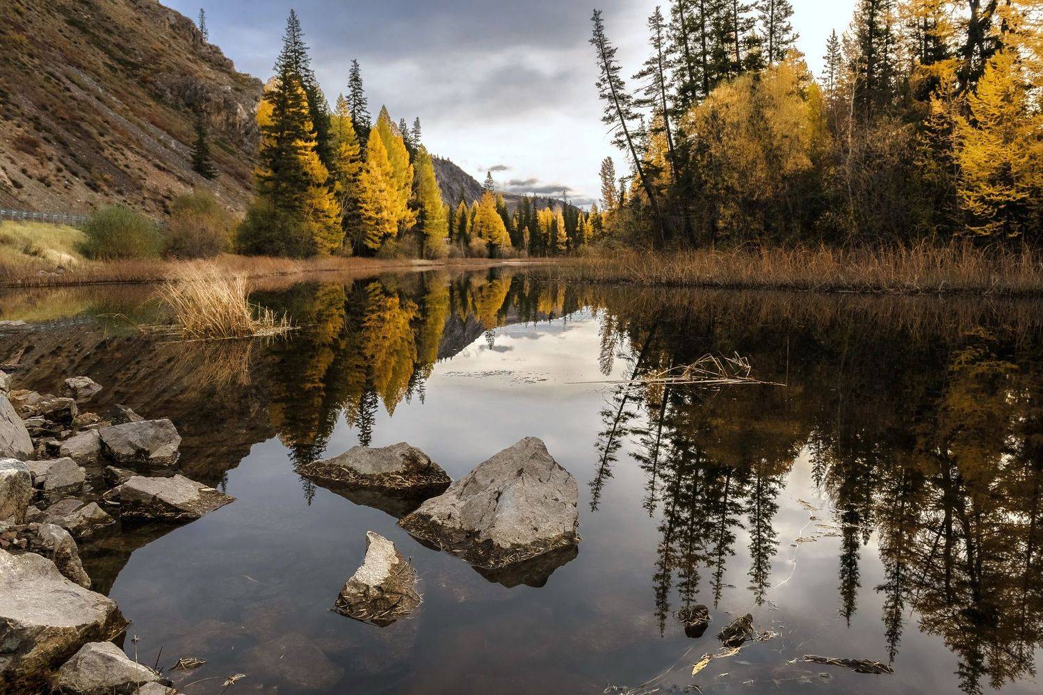 алтай, осень, непогода, Фомина Марина