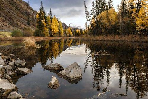 Алтайская осень