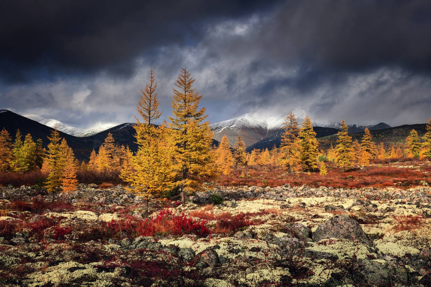 Озеро Джека Лендона, Максим Евдокимов