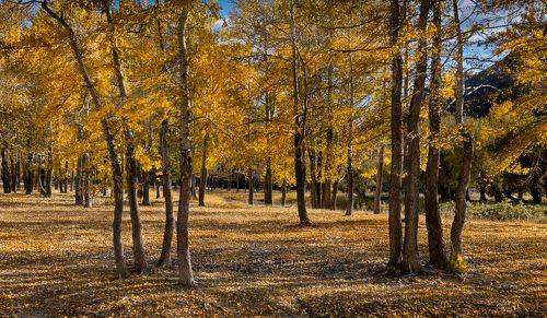И снова осень...