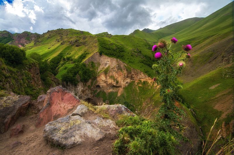 фото превью