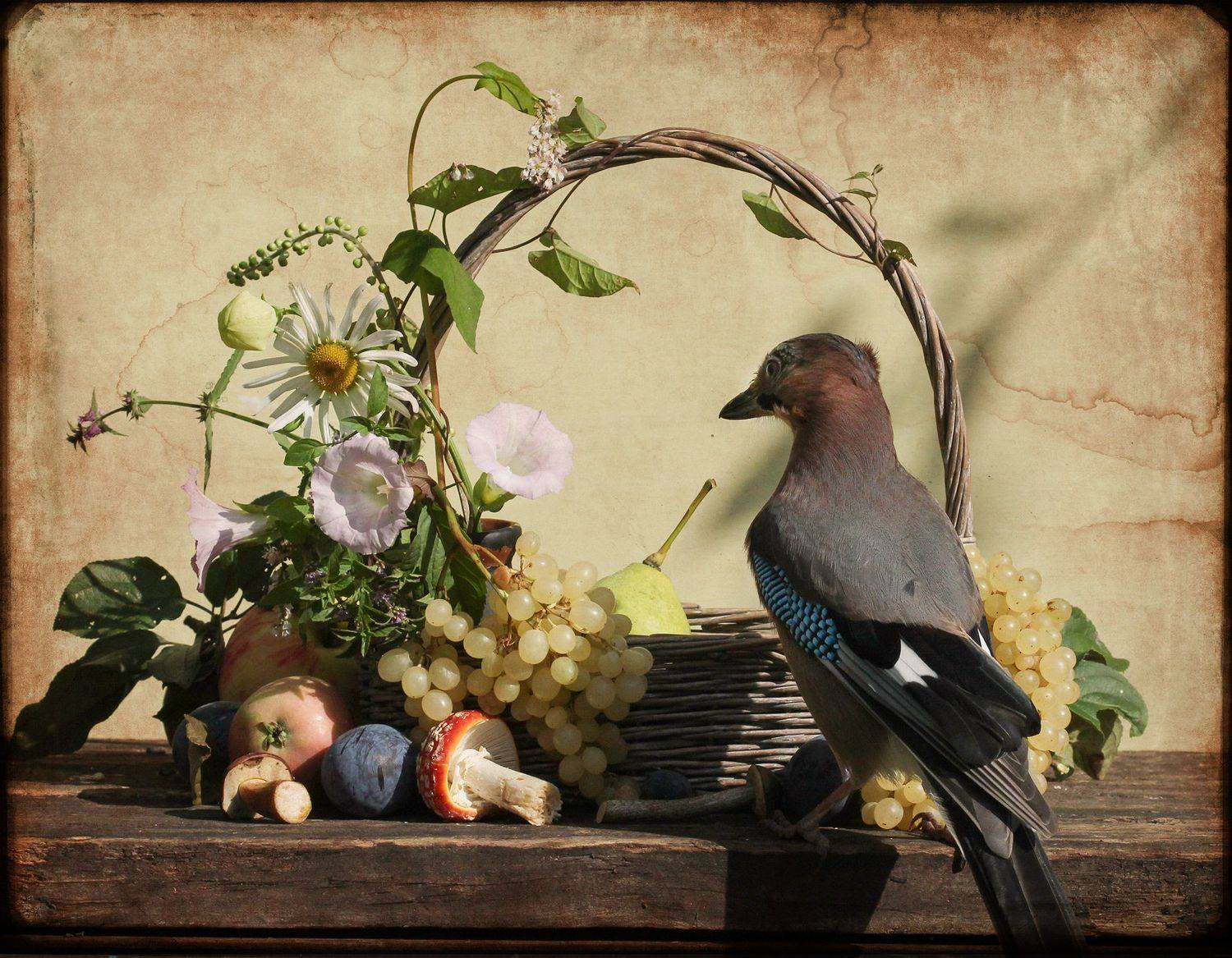 сойка, Хромушин Олег