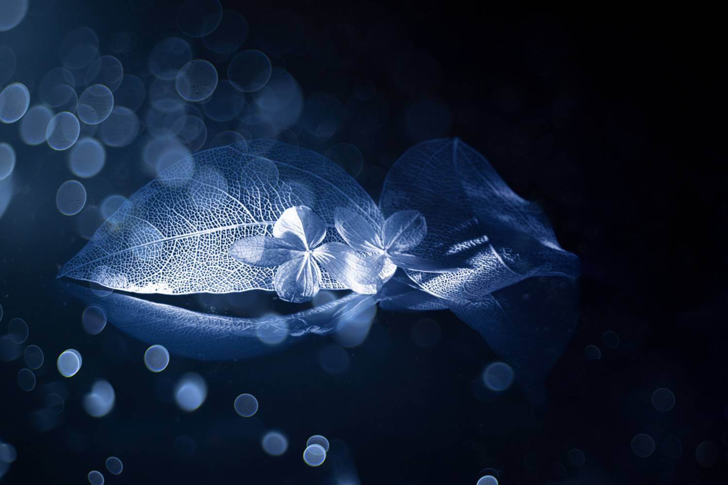 close-up, Игорь Копцев