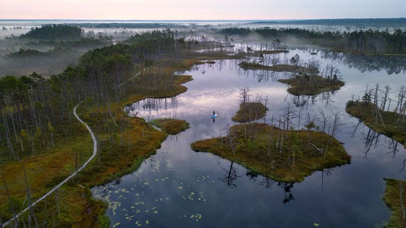 *** фото превью