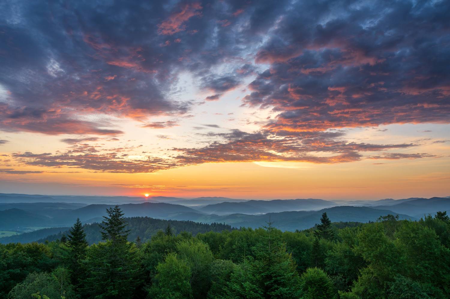 ,  Mirosław Pruchnicki