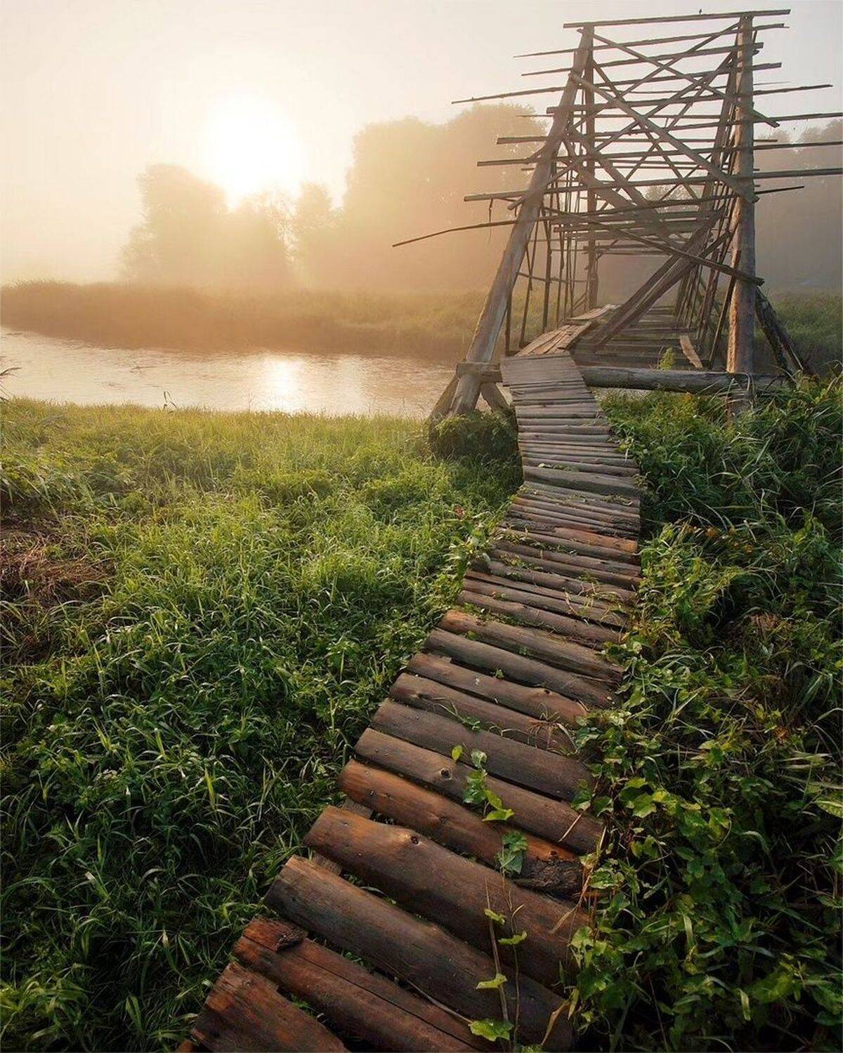 , Петр Косых