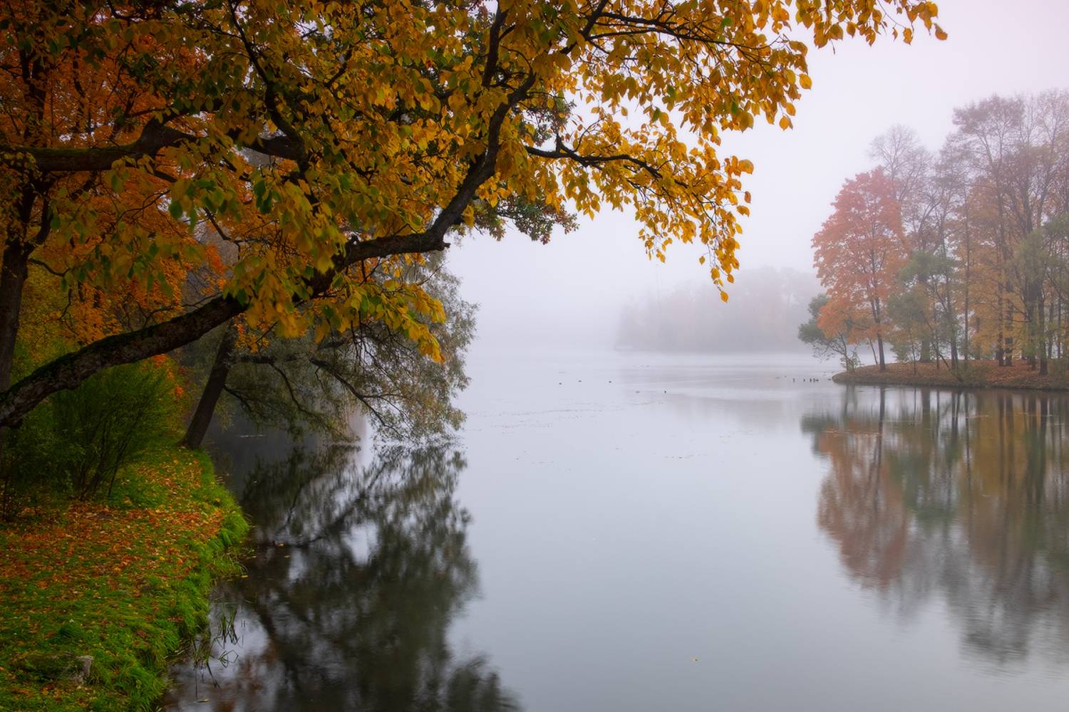 царское, село, пушкин, осень, екатерининский, парк, Илья Штром